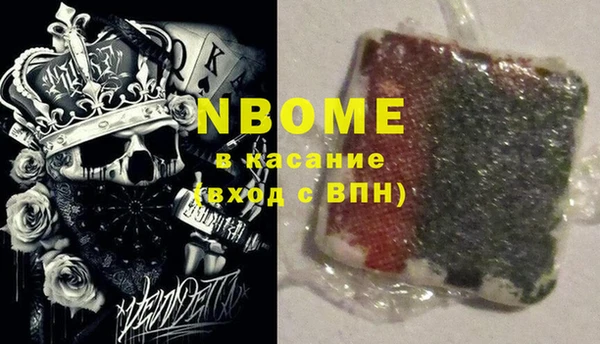 индика Балахна