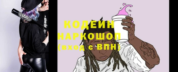 индика Балахна