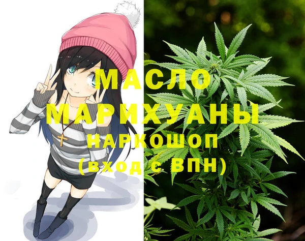индика Балахна