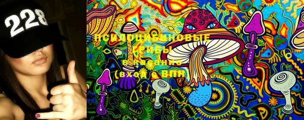 индика Балахна